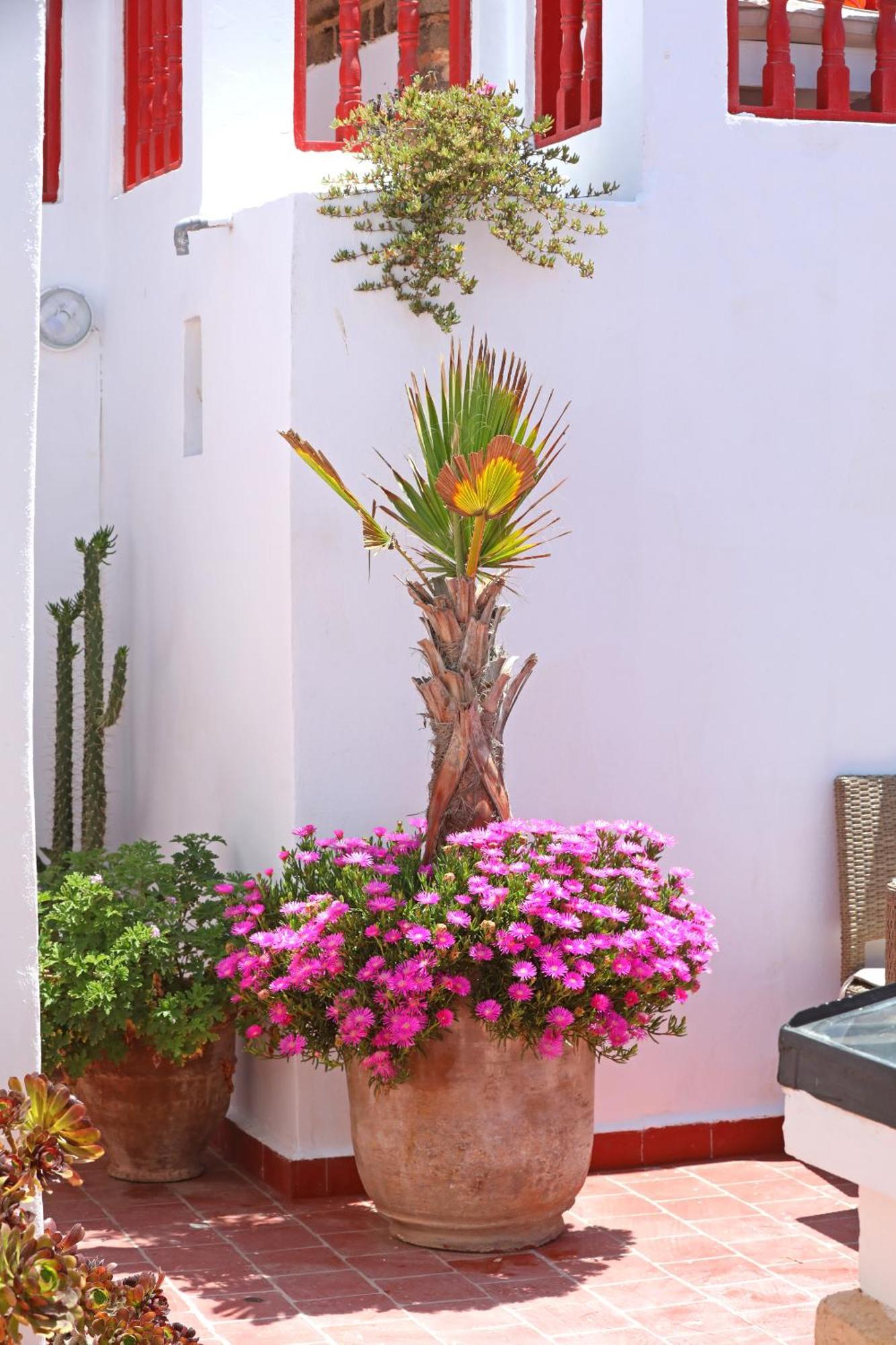 Riad Villa Garance Essaouira Bagian luar foto